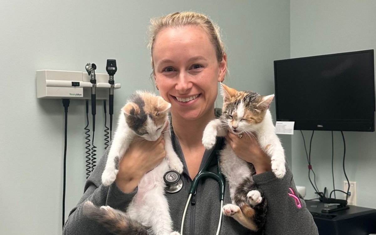 Veterinarians