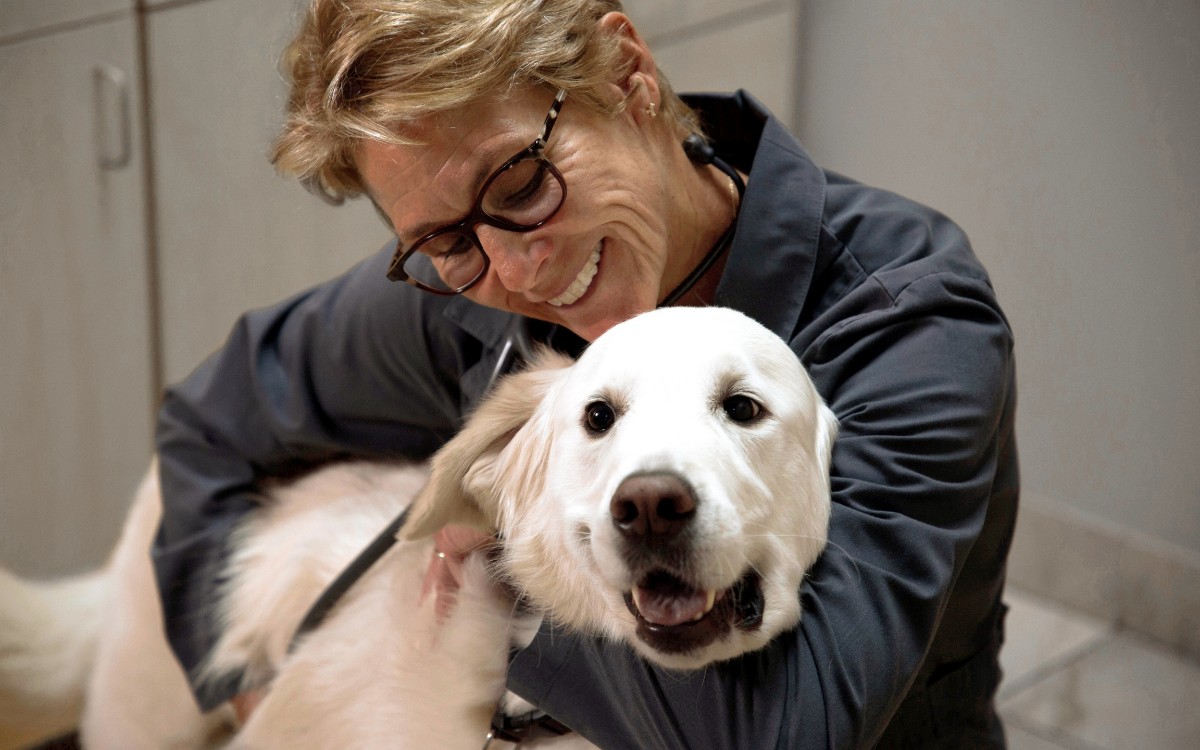 vet with dog