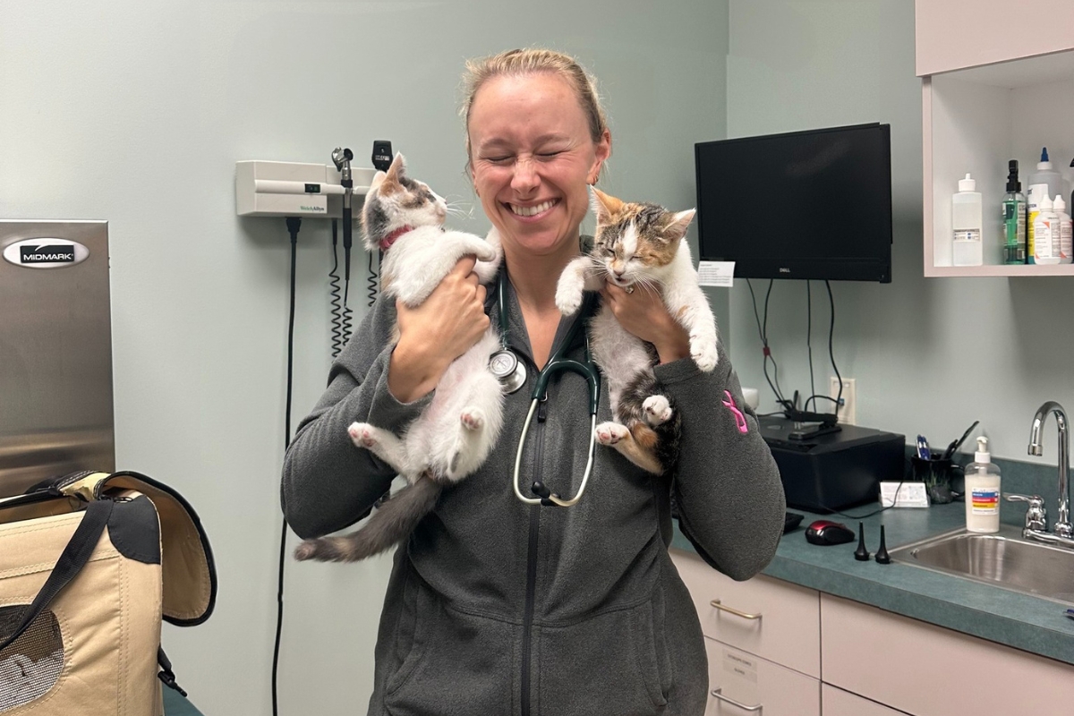 Veterinarians